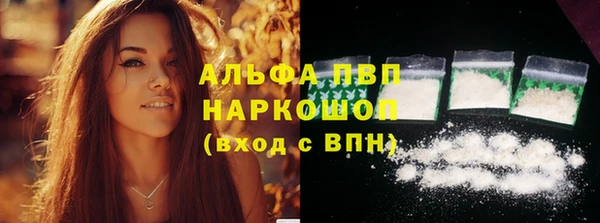 крисы Алексин