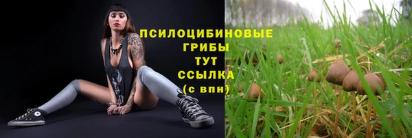 крисы Алексин