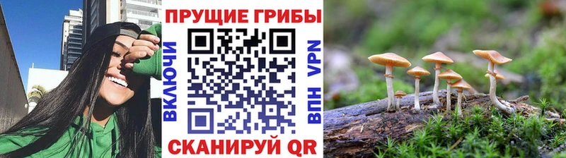 Псилоцибиновые грибы MAGIC MUSHROOMS  дарнет шоп  blacksprut онион  Медынь 